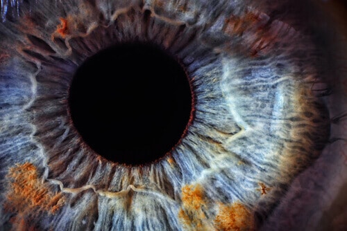 Close Up of Eye